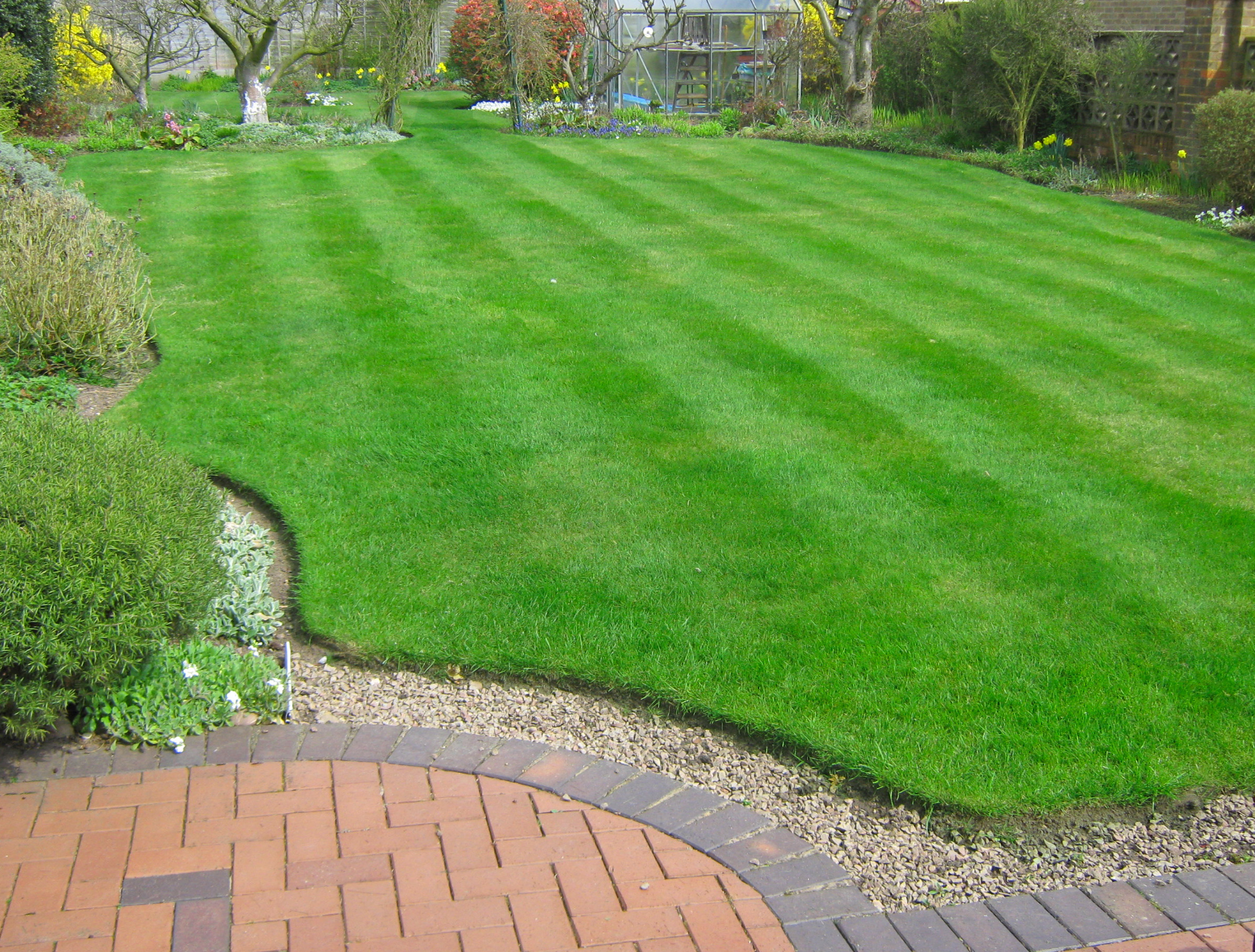 Who is the Best Lawn Treatment Company?